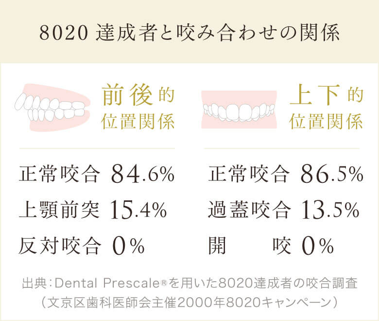 8020達成者と咬み合わせの関係